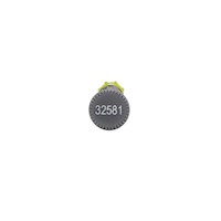 32581_alt4