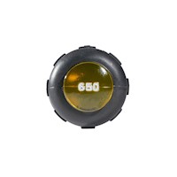 650_alt3