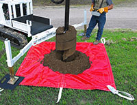 Lewis-Auger-Tarp_50p