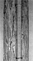 Ground Wire Moldings