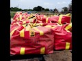 Lewis-Bulk-Bag-44 after