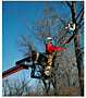 Cable Lashers-2
